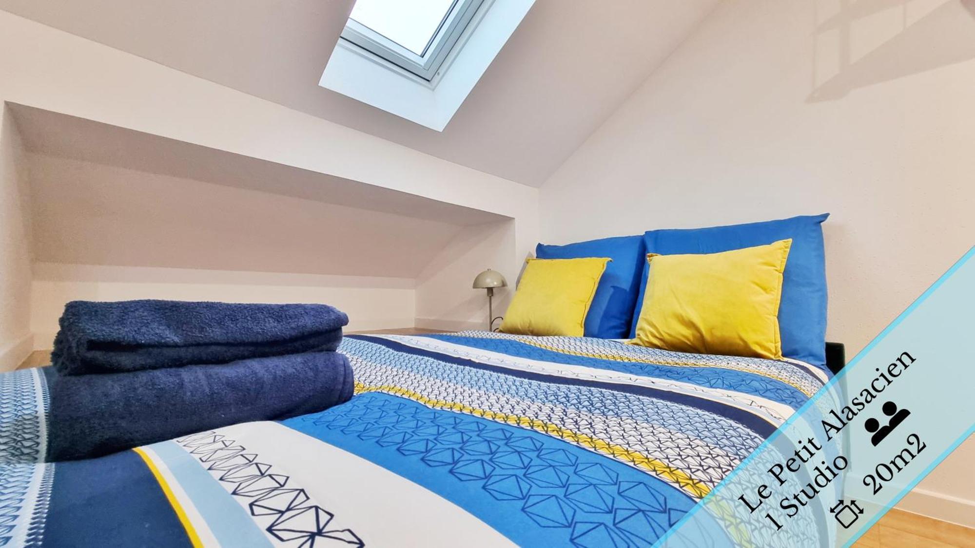 Les Suites Mulhousiennes - Charme & Serenite Mulhouse Extérieur photo
