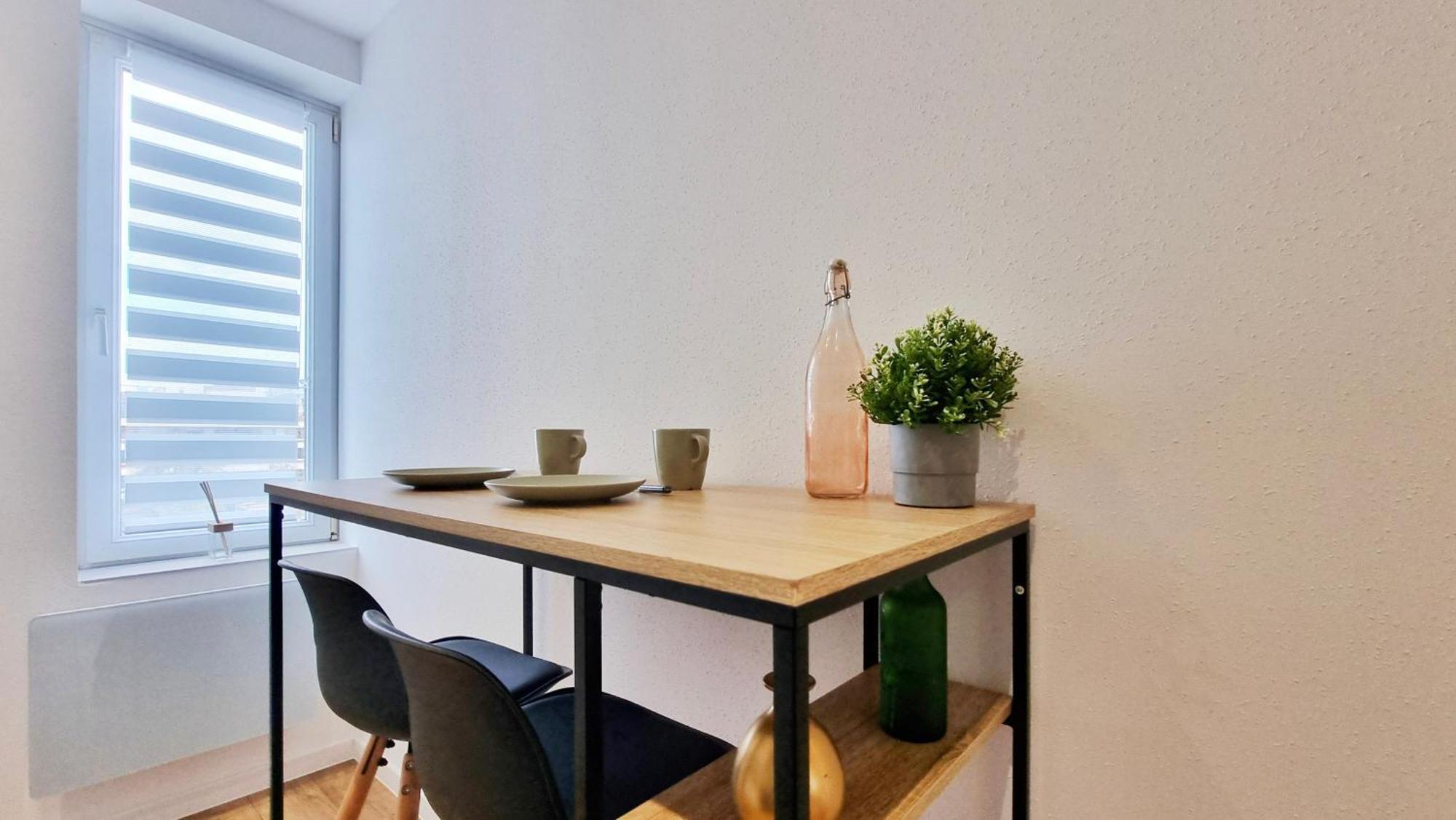 Les Suites Mulhousiennes - Charme & Serenite Mulhouse Extérieur photo